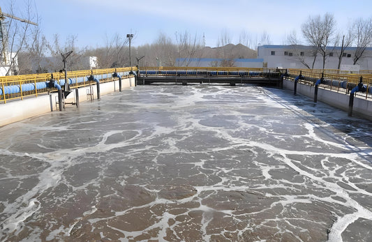 Membrane Selection Recommendations for Municipal Water Purification
