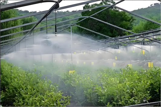 How to Use Reverse Osmosis Membranes in Agricultural Irrigation