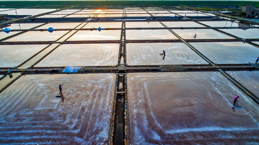 Process Design of Nanofiltration Membrane for Edible Salt Production Plants