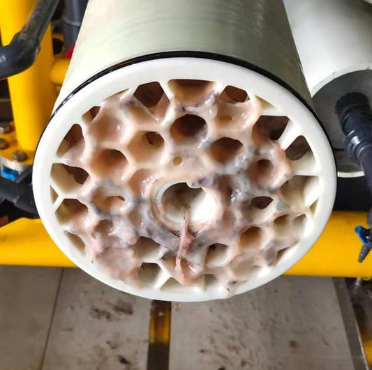 How to Avoid Biofilm Barriers in Membrane Shells in the Biotechnology Industry