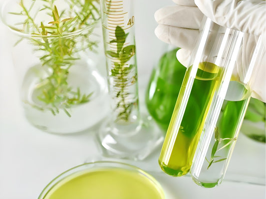 RO Membrane Process Scheme for Plant Essence Extraction